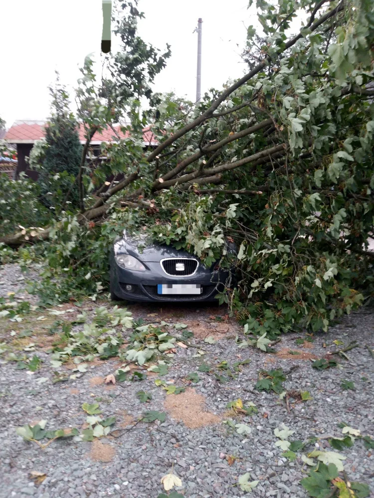 Vítr v noci v Královéhradeckém kraji lámal stromy. Bez elektřiny bylo přes tisíc domácností