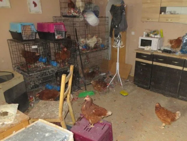 Veterináři našli v chovu v Borovničce na Trutnovsku přes 200 týraných zvířat