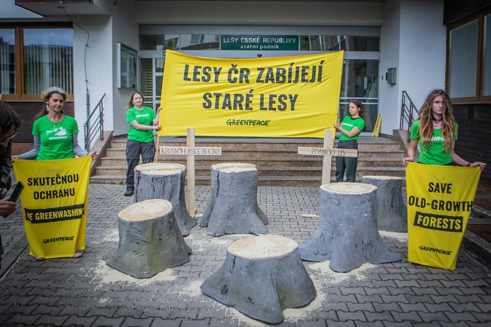 Zástupci Greenpeace před sídlem Lesů ČR protestovali proti kácení starých lesů