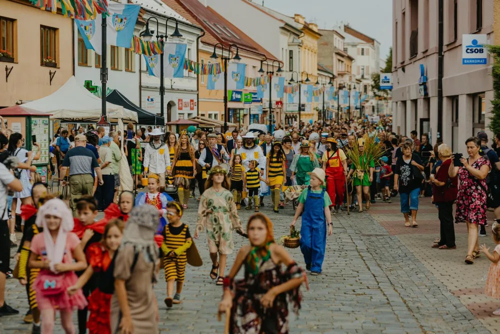 ilustrační foto