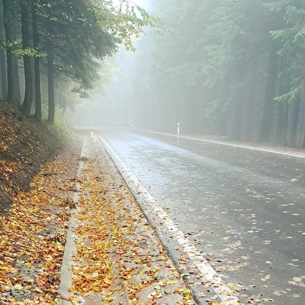ilustrační foto