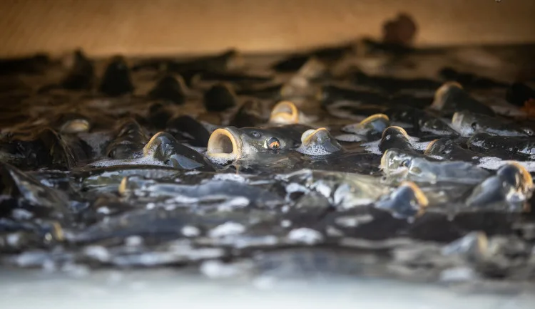 ilustrační foto
