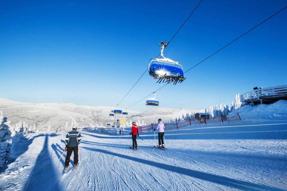 skiare