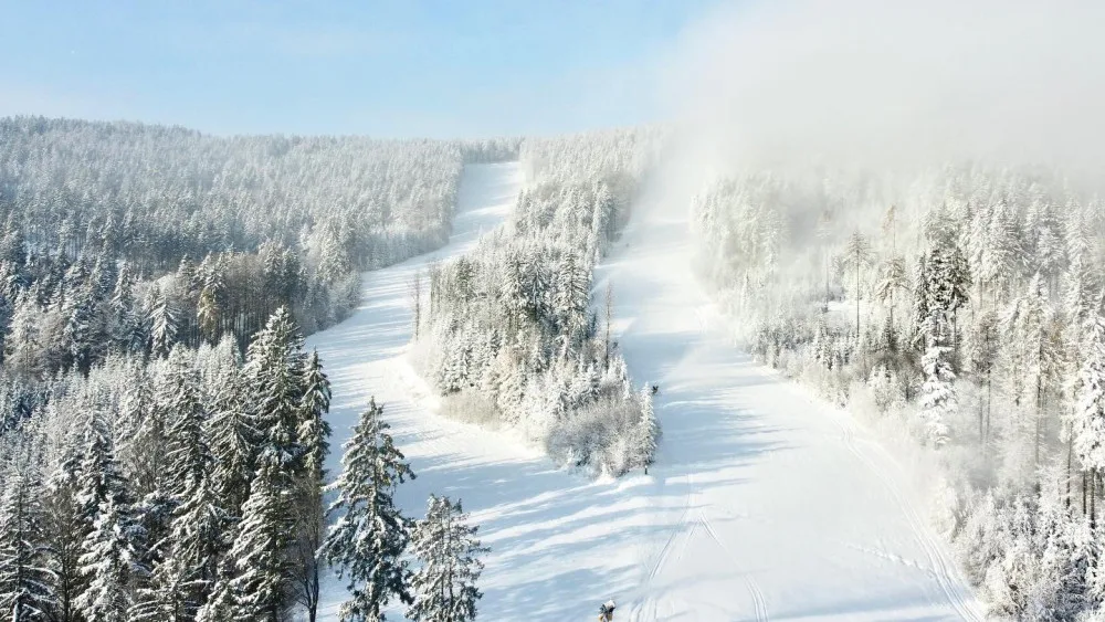 ski