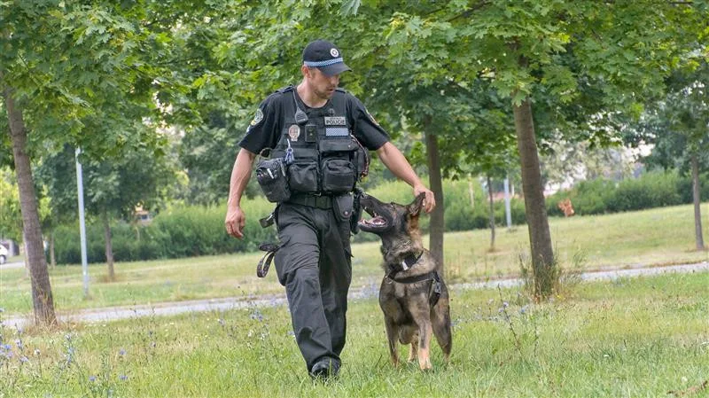 policie