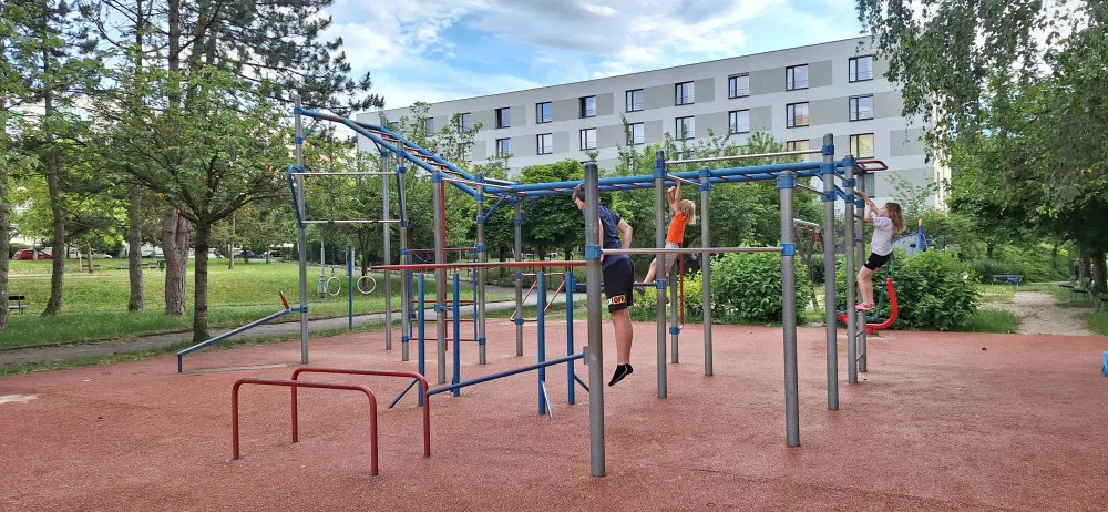 workout