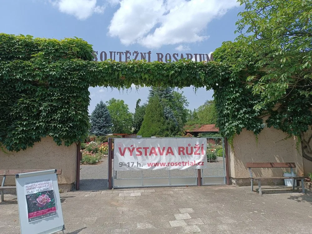 FOTO: Růže odkvétají. Rozárium v Hradci Králové rozárium zavírá