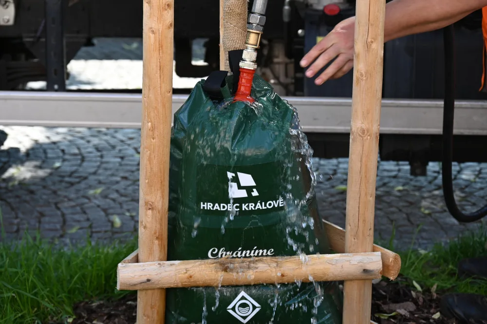 Hradec Králové pořídil nové vaky na zavlažování stromů. Použil peníze re-use projektu