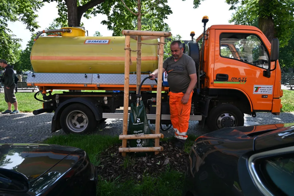 Hradec Králové pořídil nové vaky na zavlažování stromů. Použil peníze re-use projektu