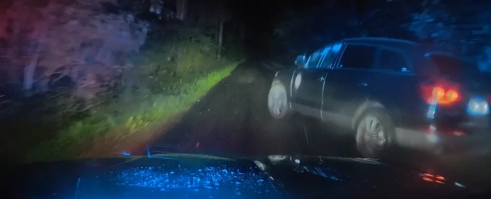 Řidič s téměř třemi promile unikal policistům přes pole a louky