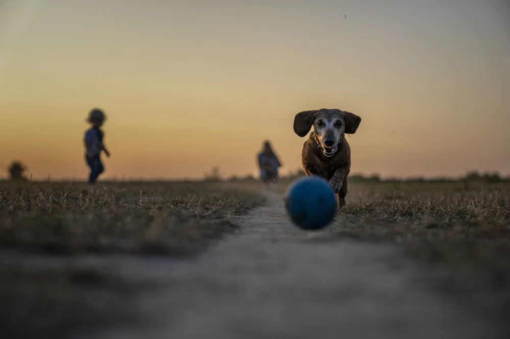 Hradec Králové chce vybudovat nový park u Malého Labského náhonu