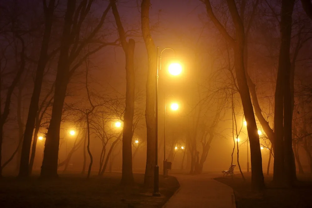 lampy