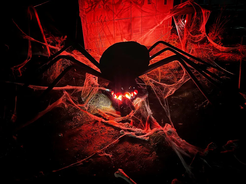 Halloweenským hitem jsou v kraji pavučiny, pavouci a lebky
