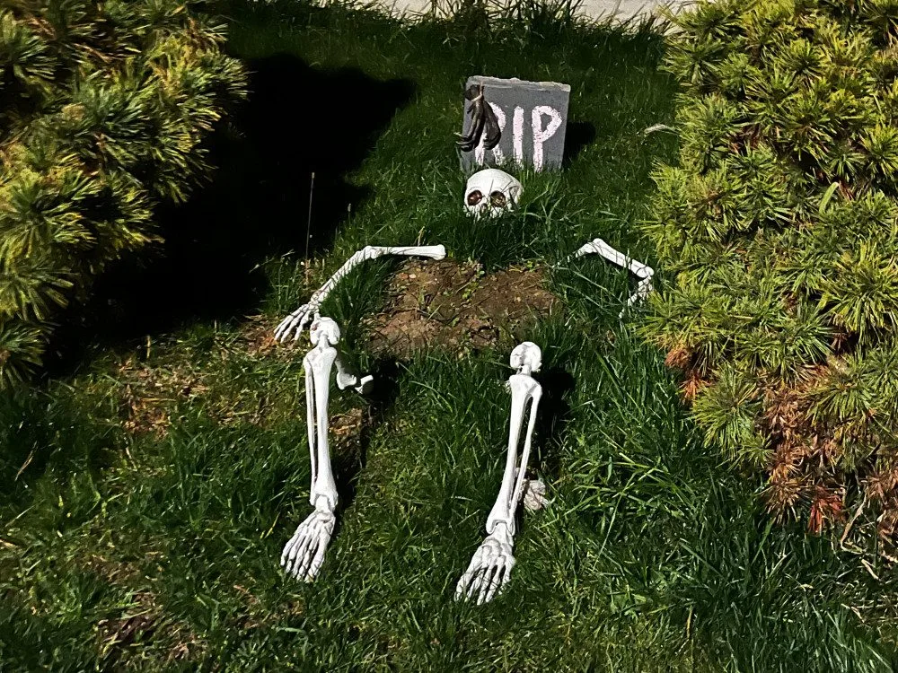 Halloweenským hitem jsou v kraji pavučiny, pavouci a lebky