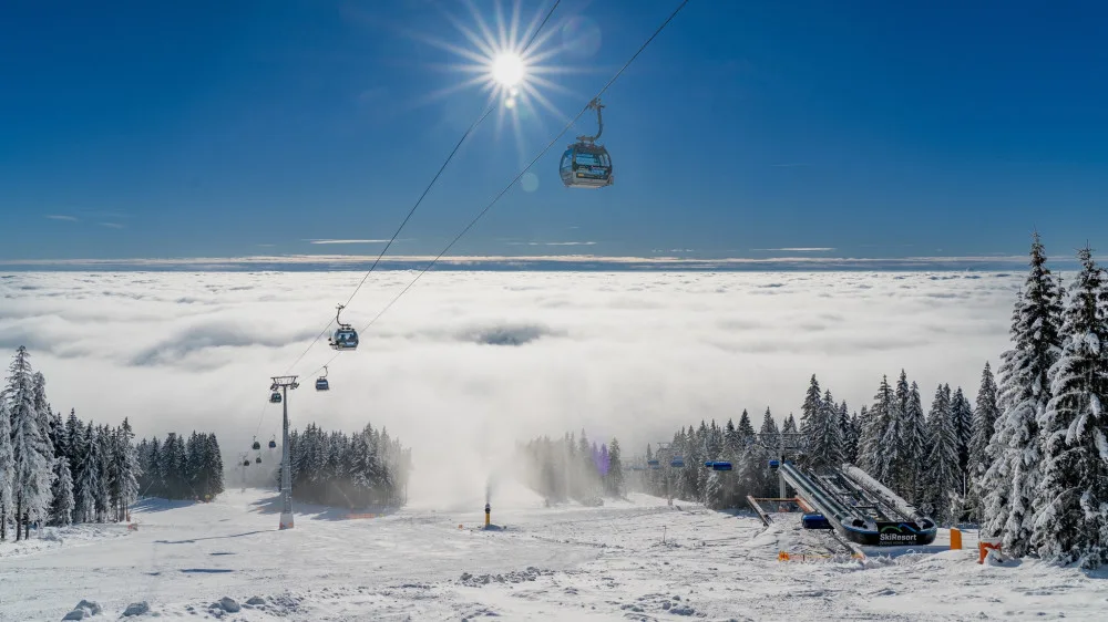 ski