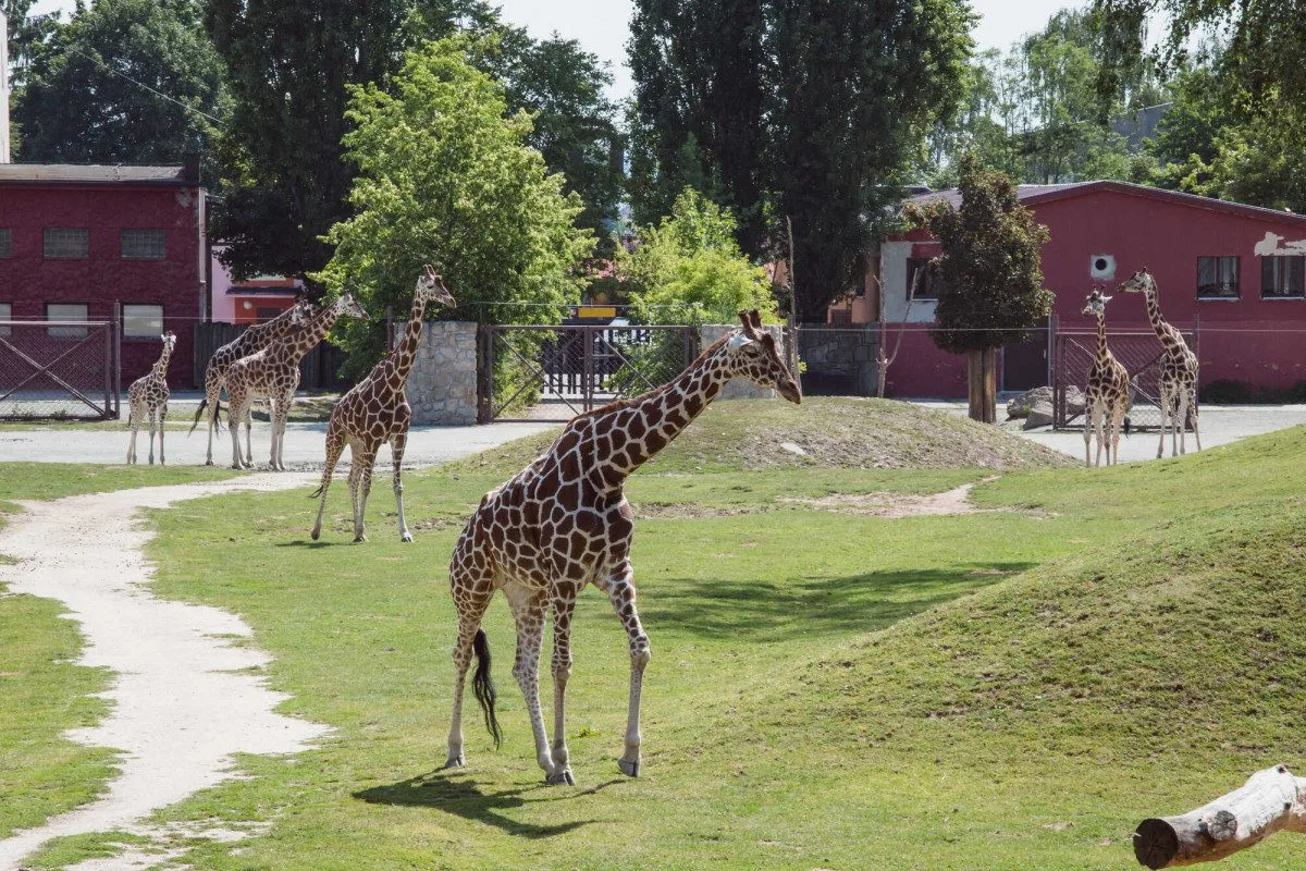 Objevte krásy Královéhradeckého kraje: Nejlepší tipy na výlety