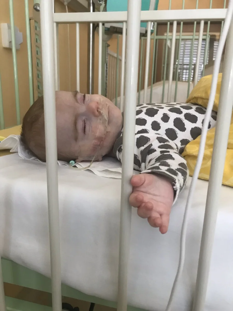 Samík z Vamberka bojuje s těžkou nemocí. Léčba stojí tisíce měsíčně a pojišťovna nepomáhá