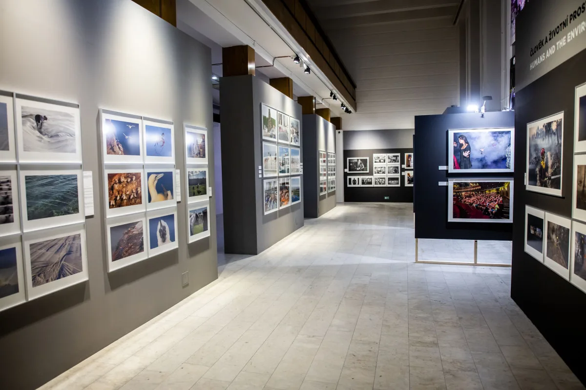 muzeum