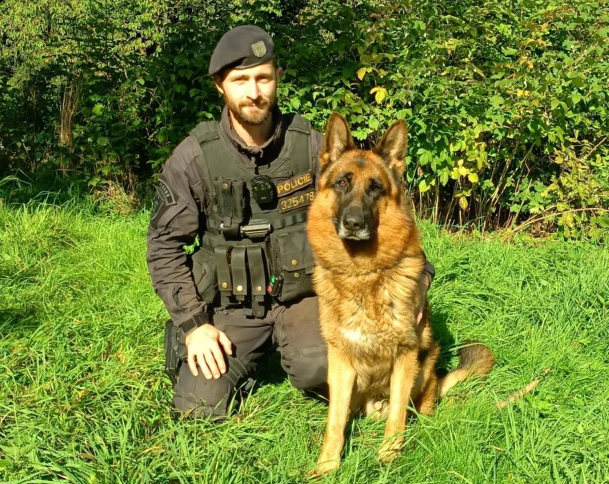 Psovod a pes Sancho v akci: Žena v Trutnově se služebního psa lekla a vzdala se
