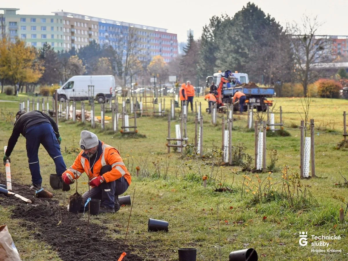 Ovocný sad na Moravském Předměstí v Hradci Králové se rozšíří o nové stromy i keře