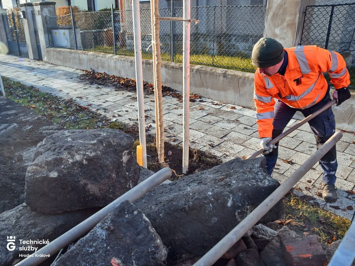 Technici při výsadbě stromů čelí nečekaným nástrahám. Zakopané suti a odpadu