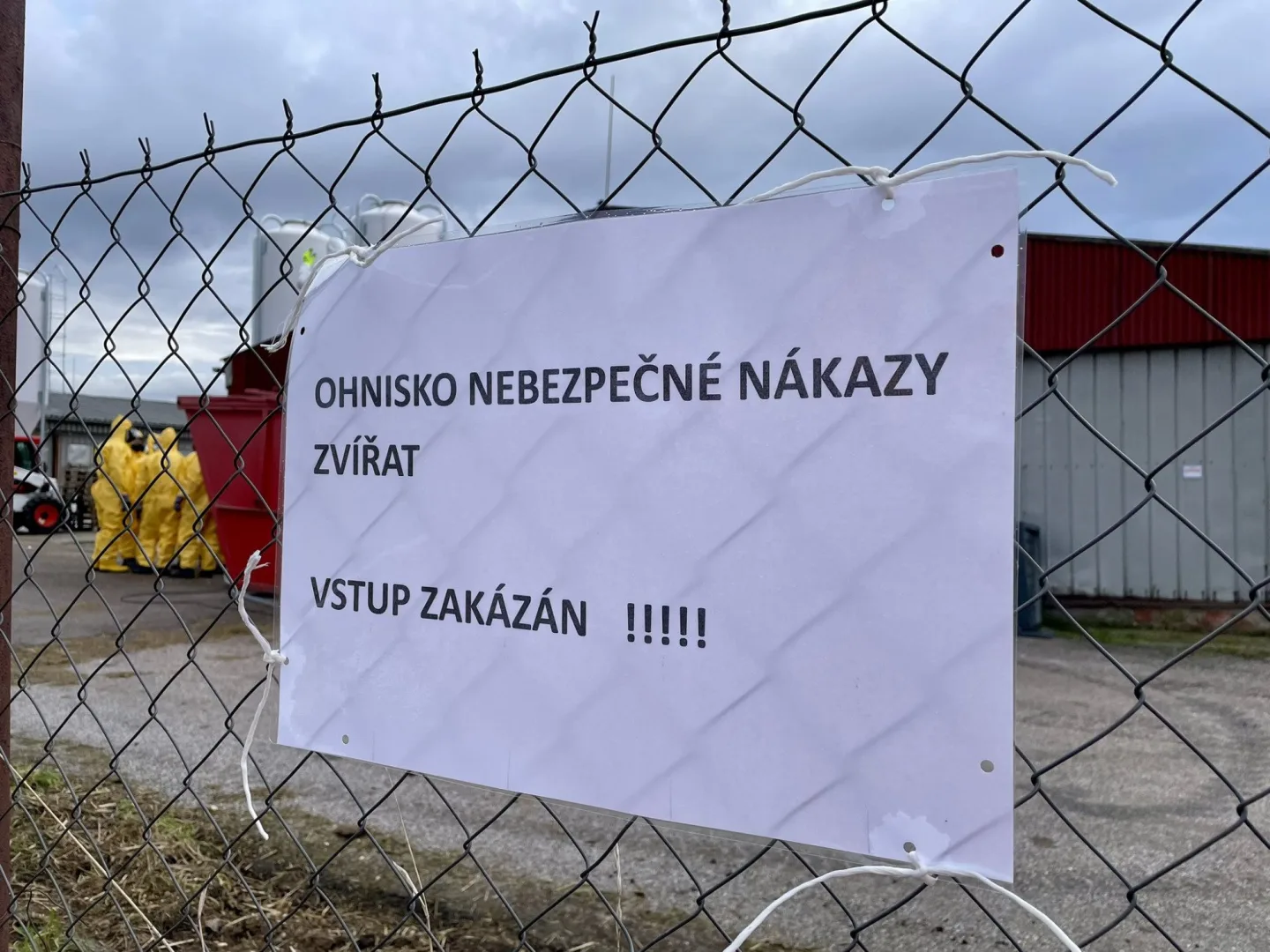 Na Královéhradecku je ptačí chřipka v chovu s 230 tisíci nosnic, největším za roky