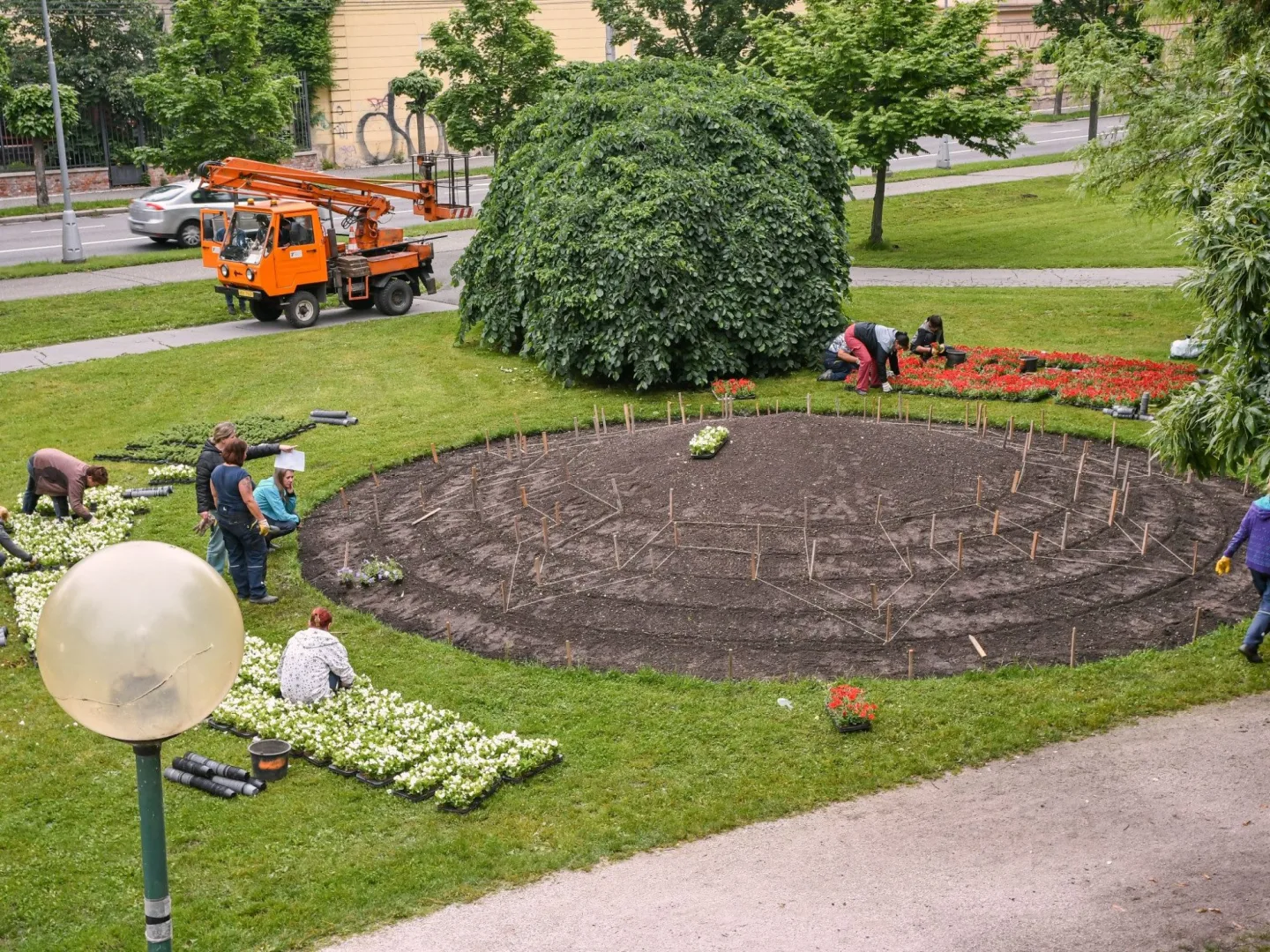 Letničková výsadba 2