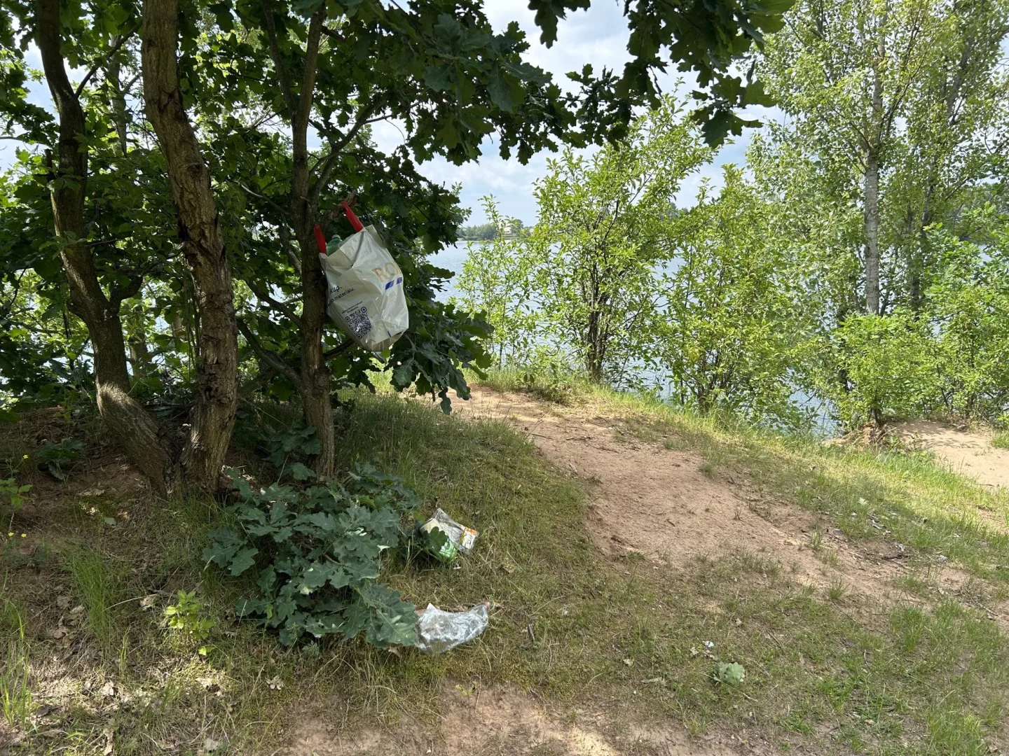 Opaťák má nového majitele: ploty stavět nechce, žádá konec nepořádku a vraků v lese