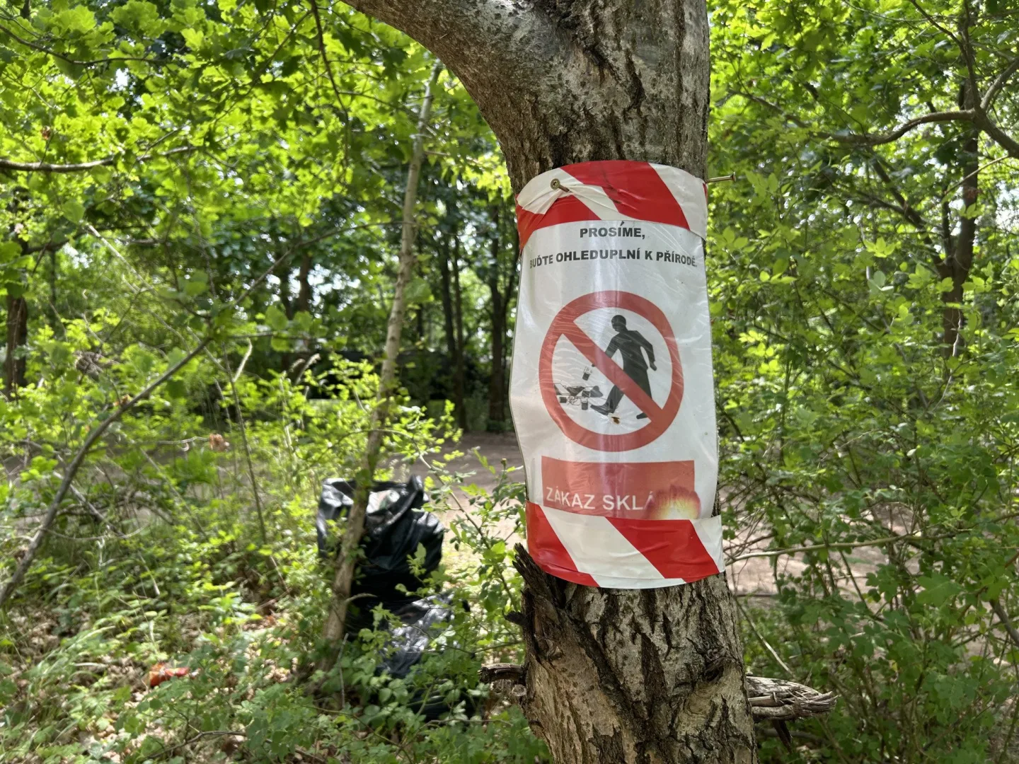 Opaťák má nového majitele: ploty stavět nechce, žádá konec nepořádku a vraků v lese
