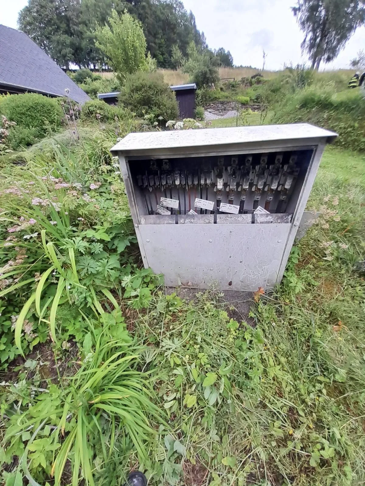 Požár elektrického rozvaděče na Trutnovsku způsobil hlemýžď