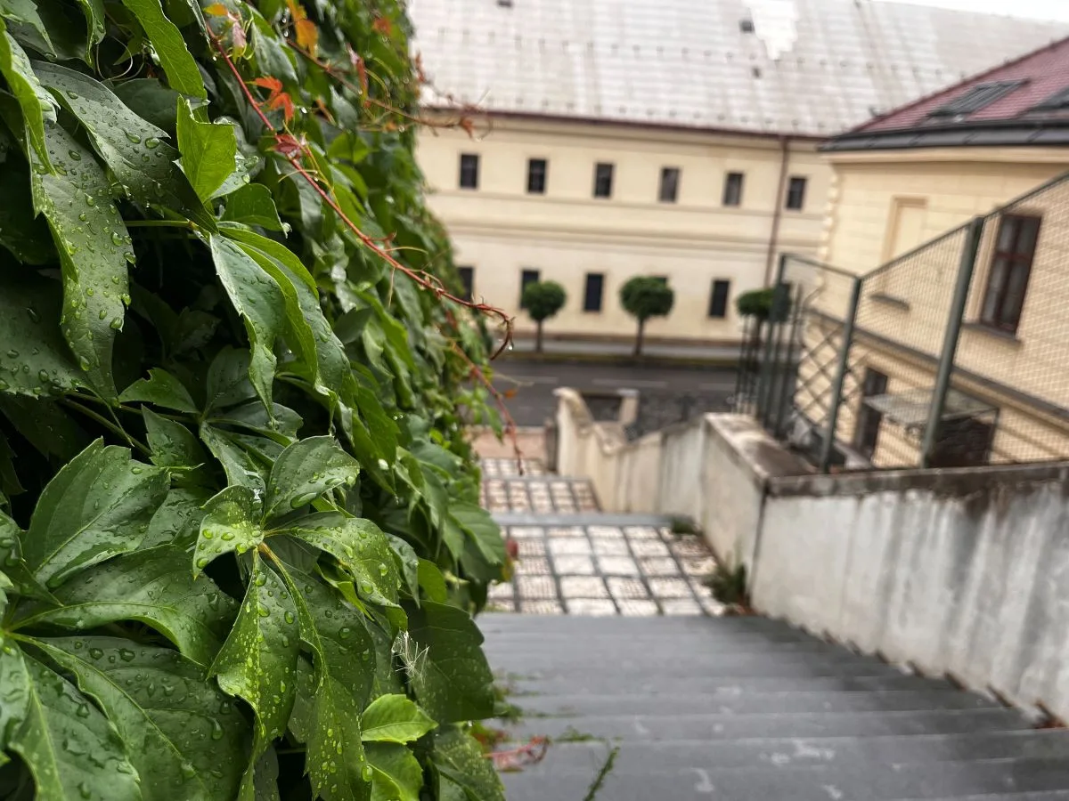 Pod sítěmi a lešením začíná záchrana hradeckého Gočárova schodiště