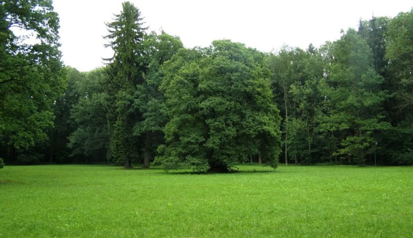 Lázně Bělohrad - Bažantnice
