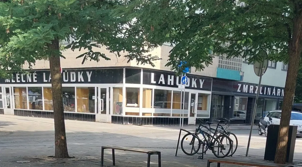 Strážníci dvojici zastihli na třídě Míru poblíž křižovatky s Pernerovou ulicí.