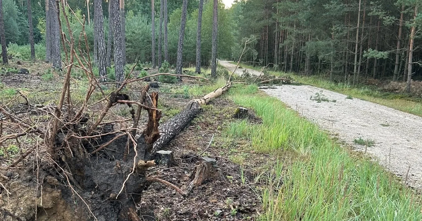 Bouře poničila městské lesy v Hradci. Některá místa jsou nebezpečná