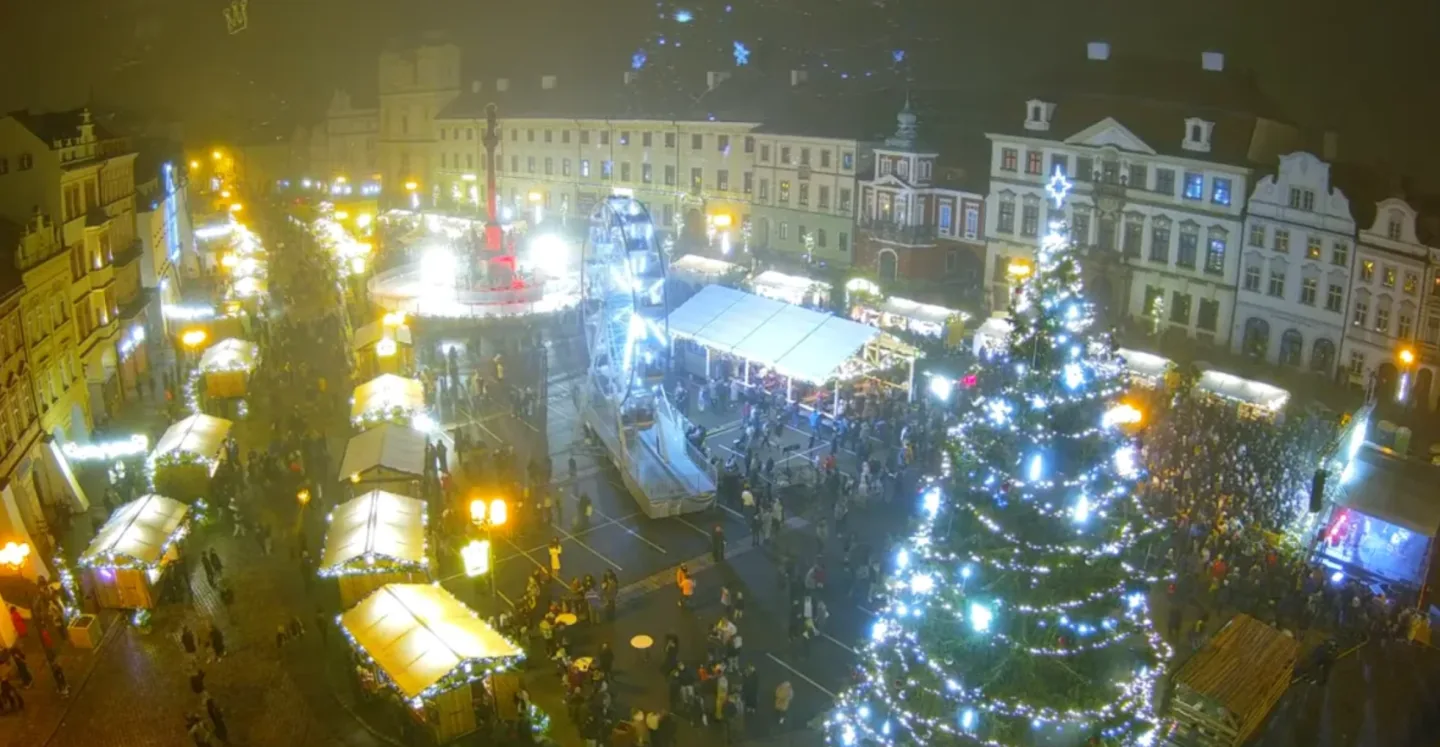 Máte na pozemku šestnáctimetrový smrk? Hradec hledá vánoční stromy