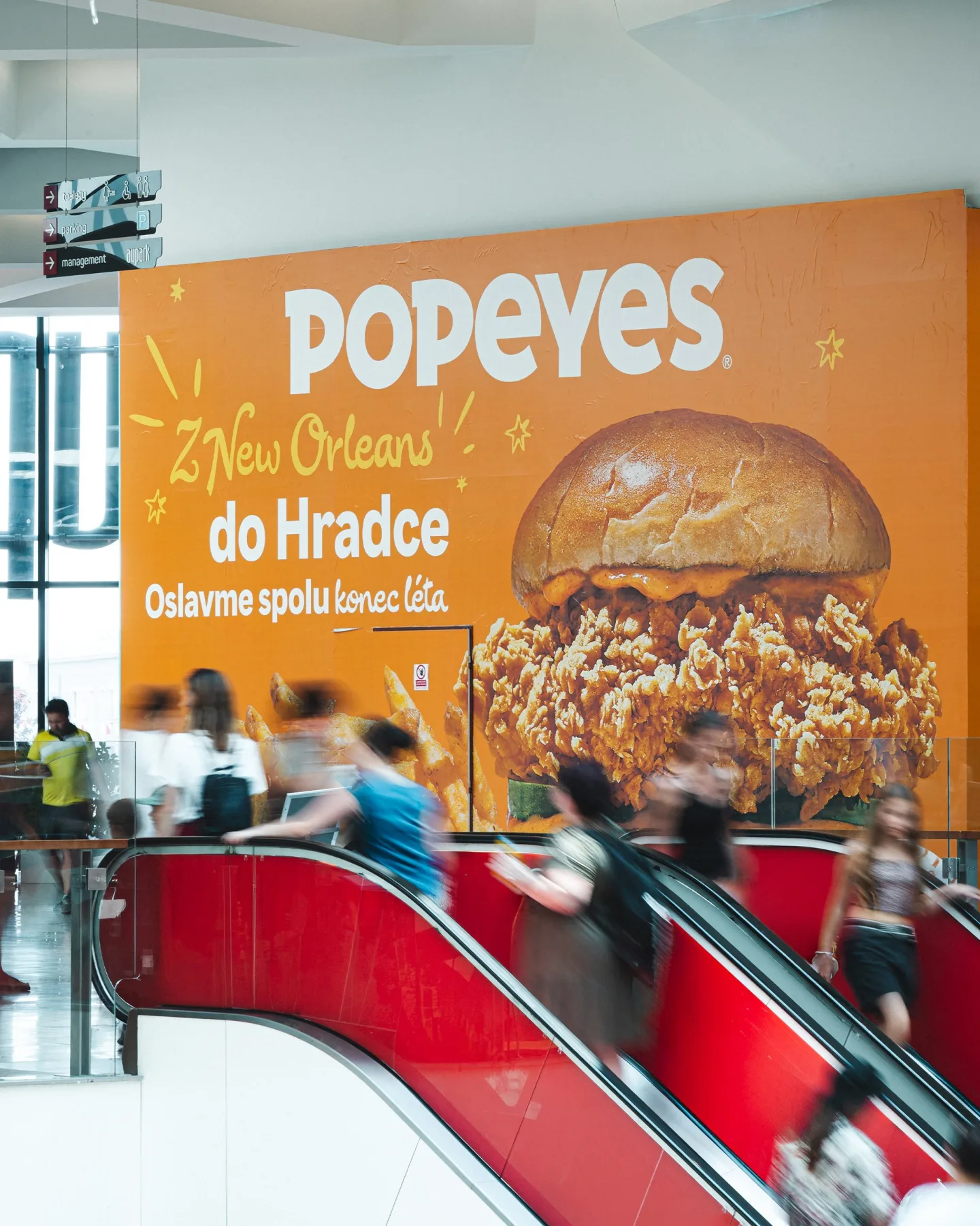 V Hradci zítra otevře Popeyes. Jinde kvůli kuřeti zdarma spali ve frontě