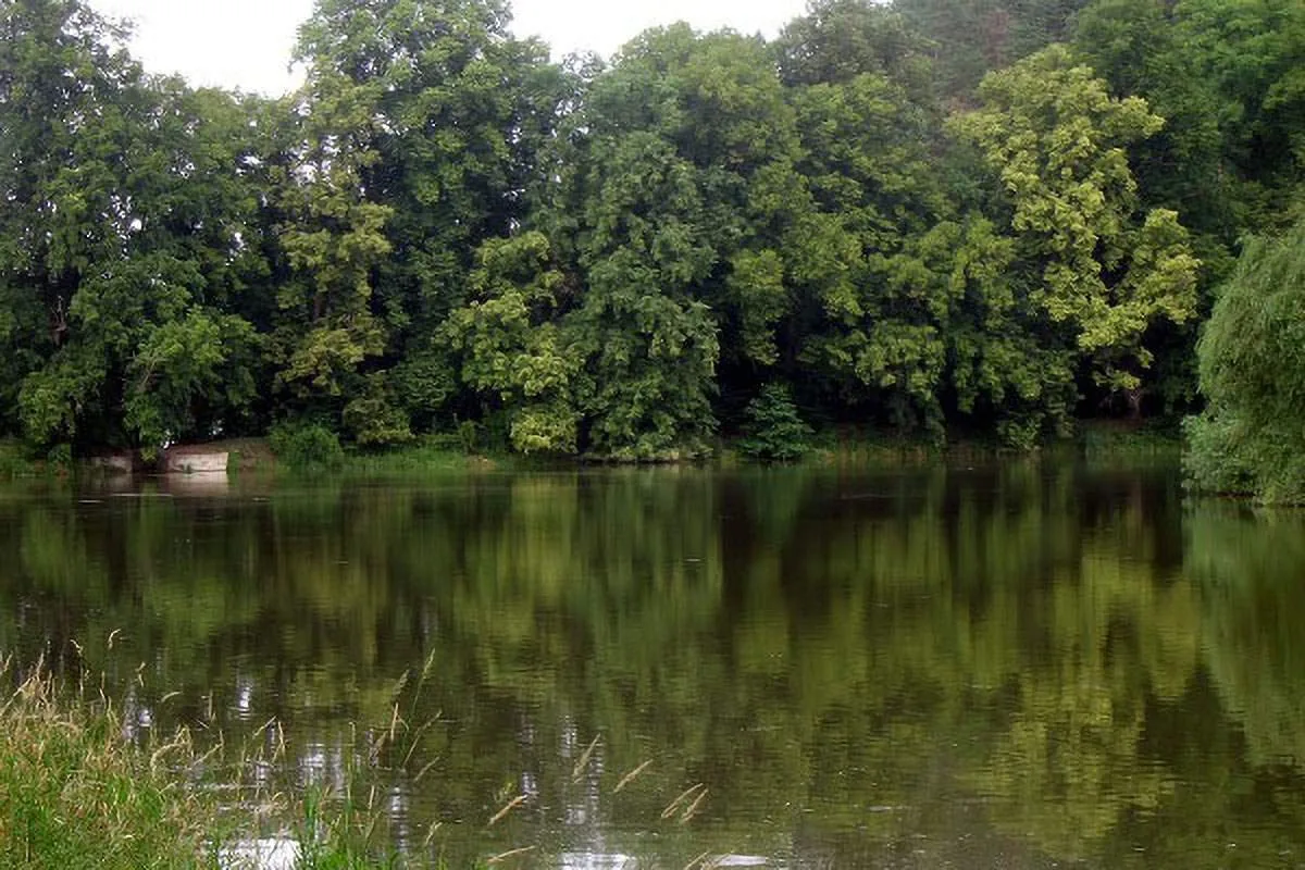 Oborský rybník má zhoršenou kvalitu vody kvůli sinicím, sezona postupně končí