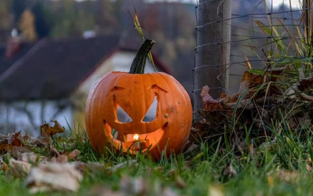 Dýňování v Malých lázních