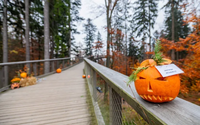 Halloween na Stezce korunami stromů