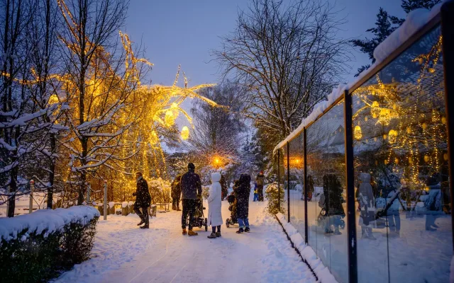 Vánoční Zoo Dvůr Králové nad Labem