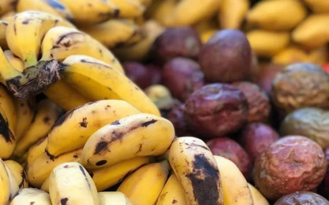 Na Náplavce se bude ochutnávat exotické ovoce, Virunga doveze annony, dračí ovoce i jackfruity