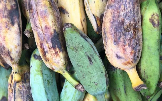 Na Náplavce se bude ochutnávat exotické ovoce, Virunga doveze annony, dračí ovoce i jackfruity