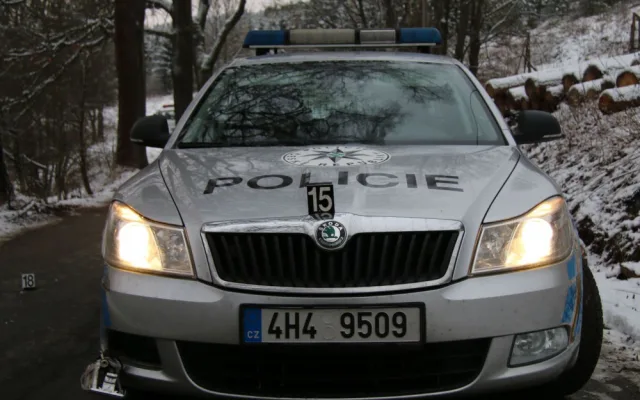 Policisté stříleli po cizinci, který ujížděl s autem ukradeným v Německu, vystopoval ho pes Chucky