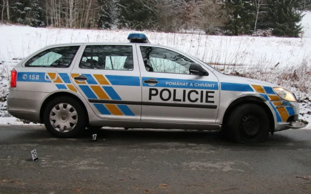 Policisté stříleli po cizinci, který ujížděl s autem ukradeným v Německu, vystopoval ho pes Chucky