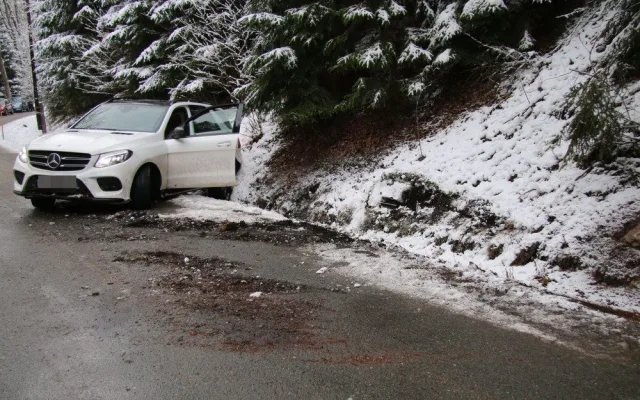 Policisté stříleli po cizinci, který ujížděl s autem ukradeným v Německu, vystopoval ho pes Chucky