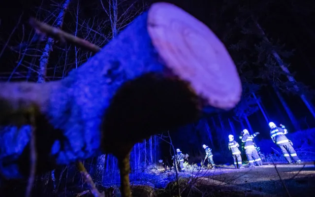 Vítr na Královéhradecku lámal stromy a ničil střechy, ČEZ vyhlásil kalamitu