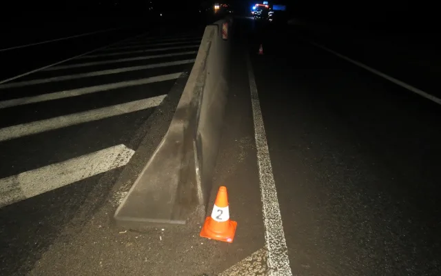 Policie ČR