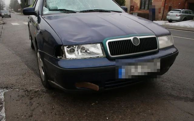 Policie ČR