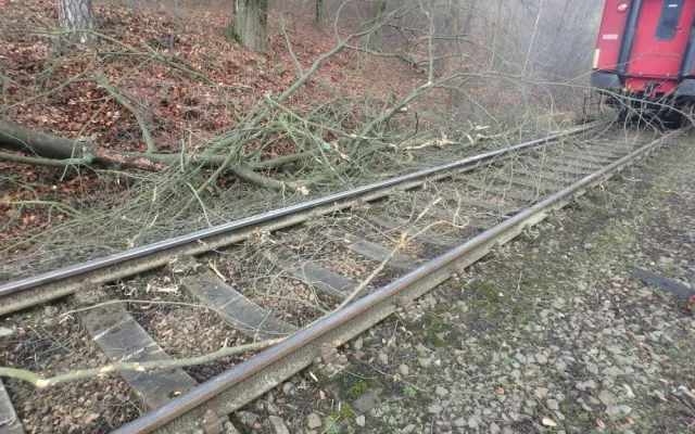 Dvůr Králové nad Labem
