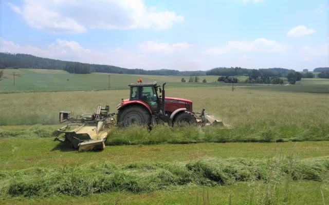 Sekačky zabijí tisíce srnčat, zachránit se je snaží myslivci i dobrovolníci